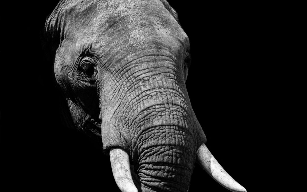 Is this the elephant in the room for demand response?